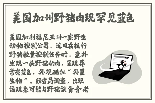 坤坤寒进桃子里免费